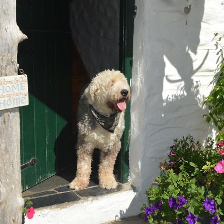 Lissyclearig Thatched Cottage Kenmare Zewnętrze zdjęcie