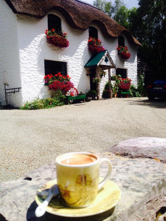 Lissyclearig Thatched Cottage Kenmare Zewnętrze zdjęcie