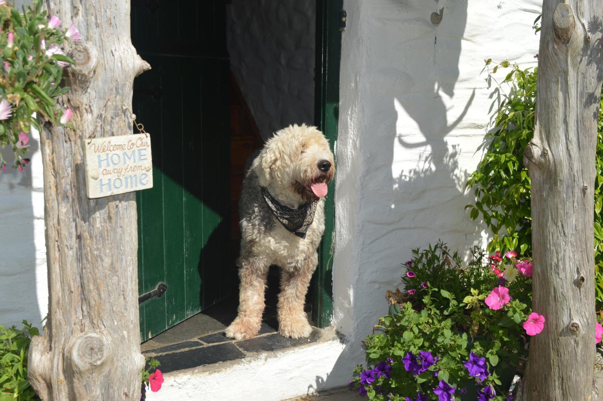 Lissyclearig Thatched Cottage Kenmare Zewnętrze zdjęcie